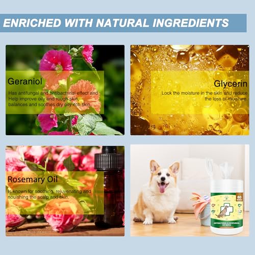 Antifungal and Antibacterial All Natural Wipes for Dogs & Cats
