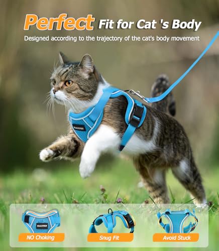 Cat Harness and Leash Set (Night Blue / X-Small (4-6lb))