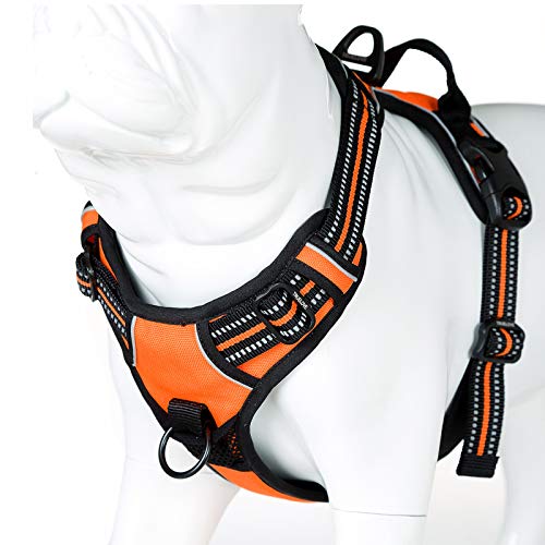 Truelove No Pull Dog Harness with Easy Control Handle and 2 Leash Attachments (Medium / Orange)