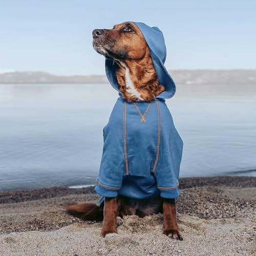 Essentials Hoodie (20 inch (Pack of 1) / Dog Hoodie - Alaskan Blue)