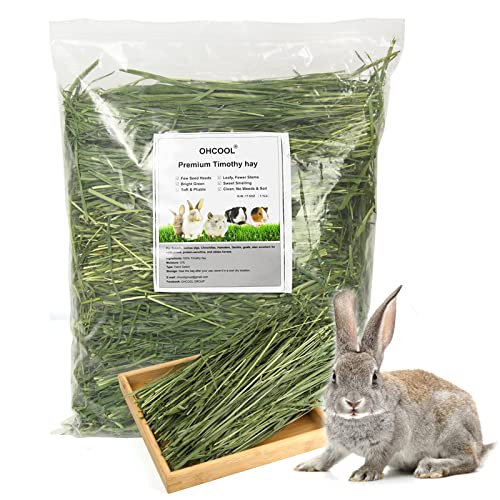 Timothy Hay 1.1LB Small Pet Feed (1.1 Pound (Pack of 1))