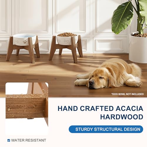 Elevated Dog Bowl Stand for Small Dogs (Small - 2 Pack)