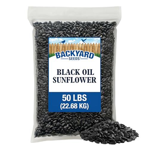 50LB Black Oil Sunflower Seeds for Birds (Black Oil Sunflower / 50 Pound (Pack of 1))