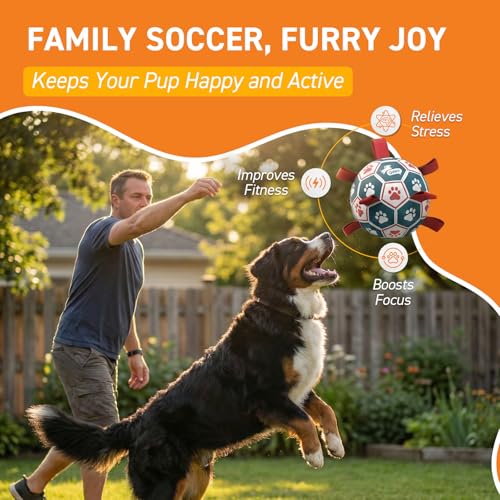 Large Outdoor Dog Toy (Blue-Red / Ultra Large Size 7 (10 Inch))