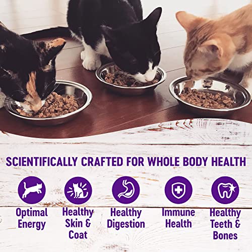 Healthy Indulgence Morsels Adult Wet Cat Food (3 Ounce (Pack of 24))