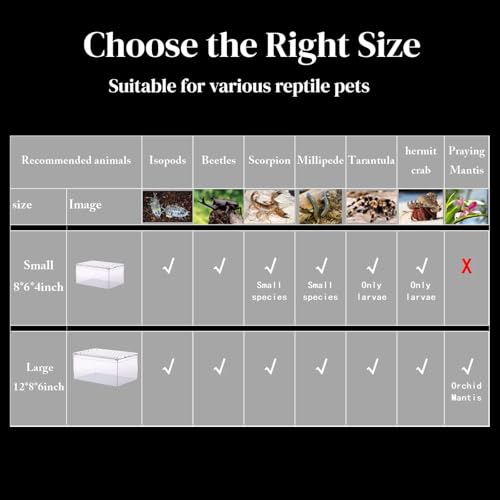 Small Tarantula Enclosure 8×6×4" (A-S(8x6x4in))