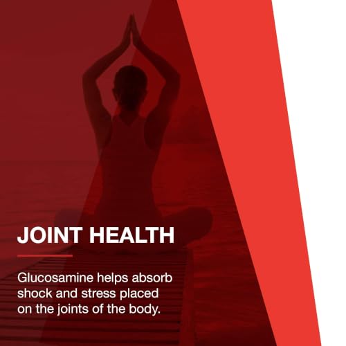 Glucosamine Chondroitin MSM