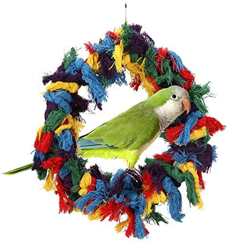Bird Parakeet Colorful Swing Toys (Large)