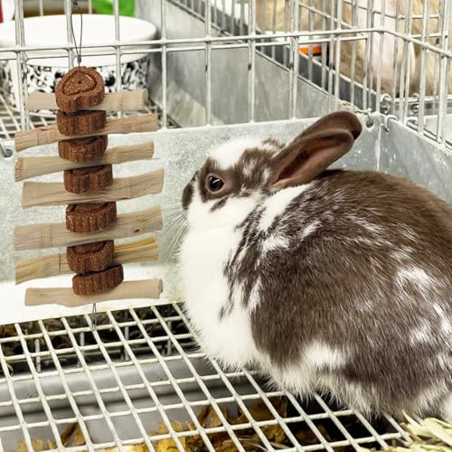 4 PCS Bunny Chew Toys for Teeth