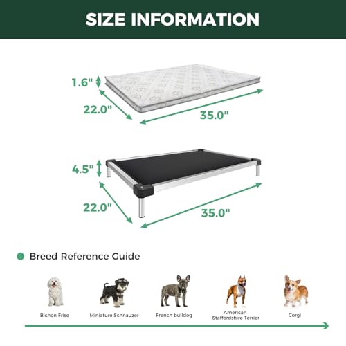 TitanNest Padded Chew (Black / Small Dog (35.0"L x 22.0"W x 4.5"H) + Cover)