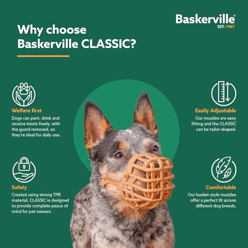 Classic Basket Dog Muzzle (6)
