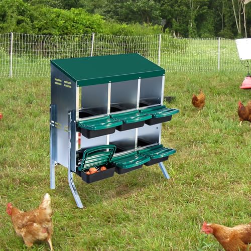 Chicken Nesting Box (Green- 6 compartment with legs)