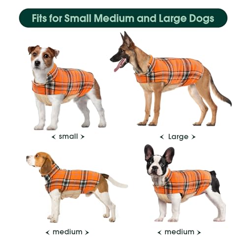 Waterproof Dog Coat (Orange / Medium (Pack of 1))