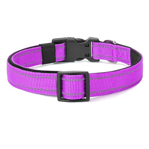 Reflective Dog Collar (Dark Magenta / S:width 5/8"neck 10.5-16")