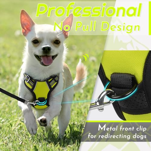 Dog Harness for Small Dogs (X-Small / Green)
