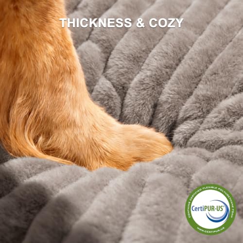 Dog Bed for Small Dogs (Khaki / S (20"x19"x6"))