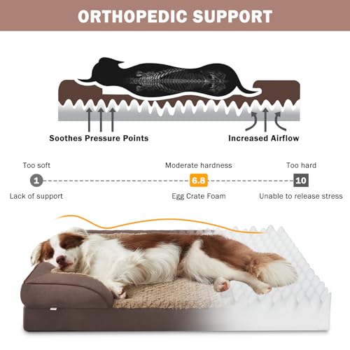 Orthopedic Dog Beds Large Sized (Dark Brown / XL (42"x 32"x 7"))