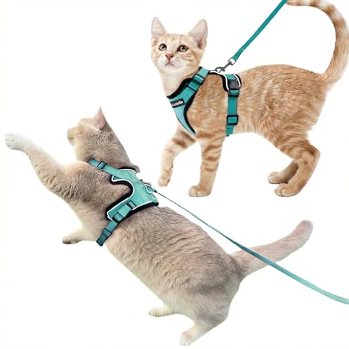 2 Pack Escape (Lake Blue / XS)