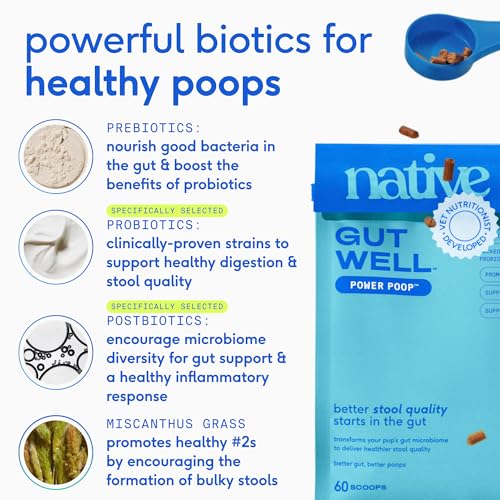 GutWell Power Poop (60 Count)