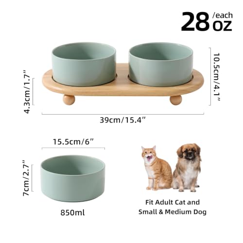 Raised Cat Bowl (Light Green)
