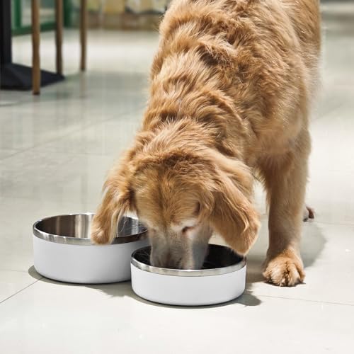 Stainless Steel Dog Bowls (Large / White)