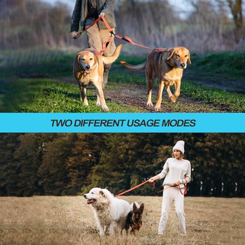 Double Dog Leash (Orange)