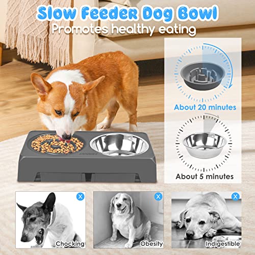 Raised Dog Bowls 4 Height Adjustable Elevated Bowl Stand