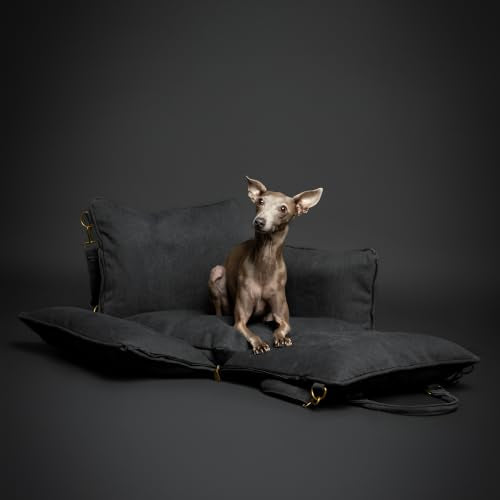 Dog Car Seat Booster for Small Dogs & Cats Under 25lb (Charcoal - Canvas / Medium)