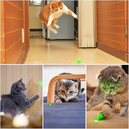 Cat Toy Green Light