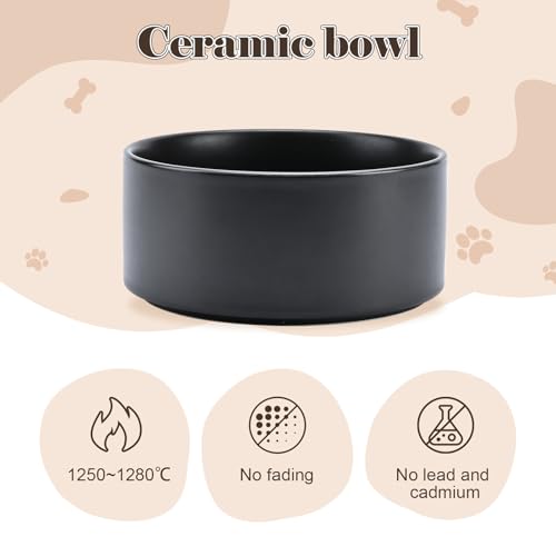 Raised Ceramic Dog Bowls Set with Non (42.27 Oz / Black)