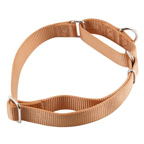 Martingale Dog Collar (Small / Clay)