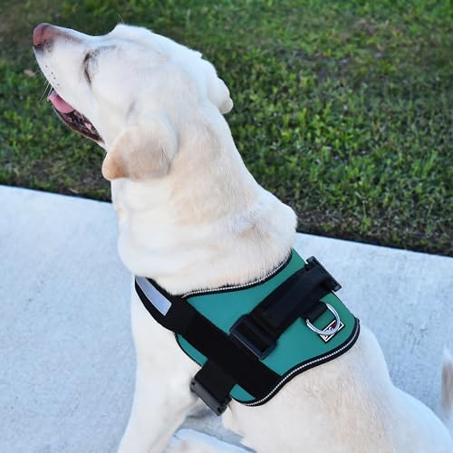 Dog Harness Reflective No (Teal / Girth 27" to 34")