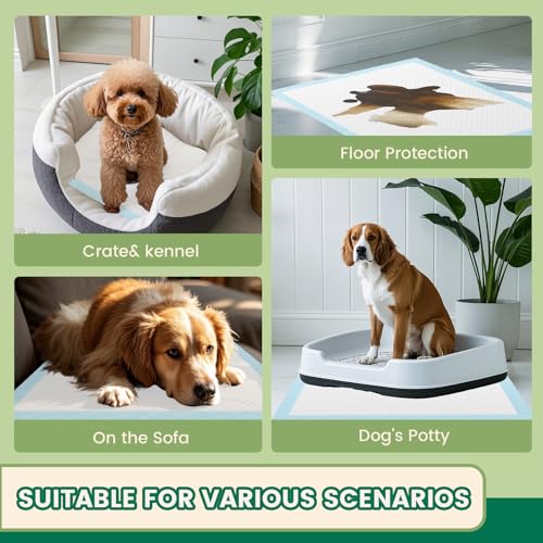 Heavy Duty Puppy Pads 50 Count (30" x 28" (50 Count Heavy Duty))