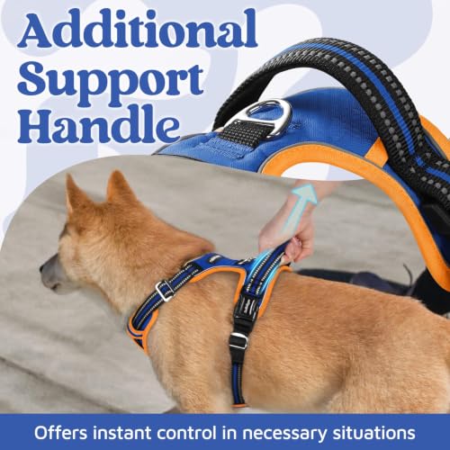 Dog Harness Medium Sized (Royal Blue & Orange / Medium)