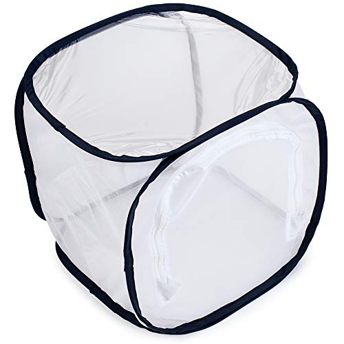 Insect and Butterfly Habitat Cage Terrarium Pop (White With Black / 12 x 12 x 12 inches)