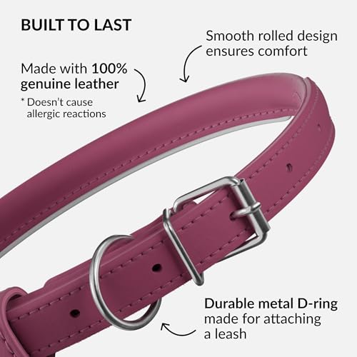 Tangle Free Reflective Leather Dog Collar (Pink / S)