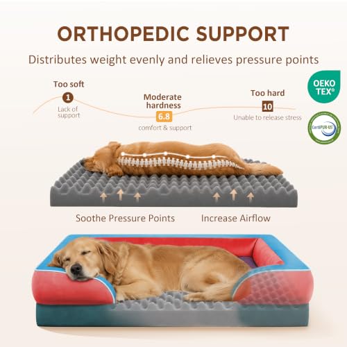 Orthopedic Dog Beds for Large Sized Dog with Bolster (36.0"L x 27.0"W x 8.0"Th / San Francisco)