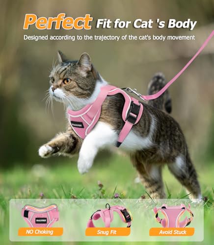 Cat Harness and Leash Set (H600 Pro Pink / Small (7-12lb))