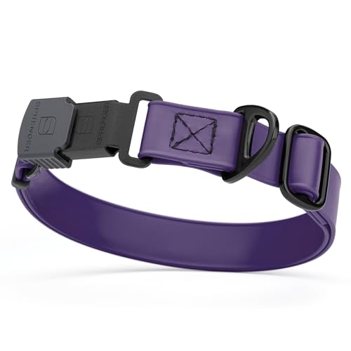 Biothane Waterproof Dog Collar with Herm Sprenger Black Stainless Steel Quick Release Buckle (W 3/4" x L 12"-19" / Violet Purple)