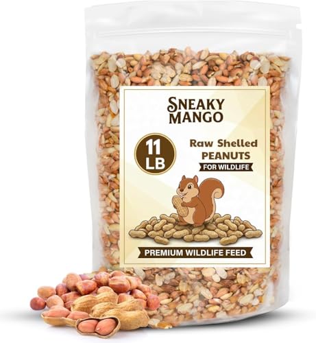 Raw Out of Shell Peanuts (11 Pound (Pack of 1))