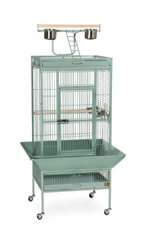 Wrought Iron Select Bird Cage Seed Guard (Sage Green / 24.0"L x 20.0"W x 60.0"H)
