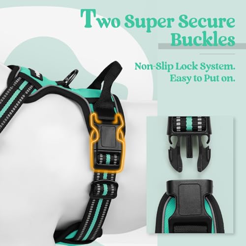 Dog Harness No Pull for Small Dogs with 2 Leash Clips (Small / Turquoise)
