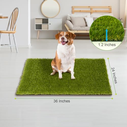Professional Fake Grass for Dogs (36" x 24")