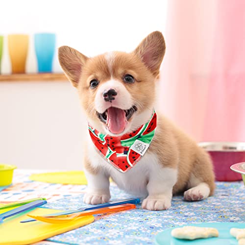 Summer Dog Bandanas Girl Matching Dog Bandana and Scrunchie Small (watermelon / Small-set of 1)