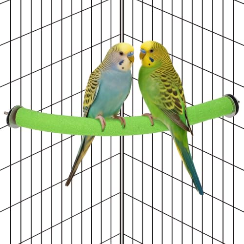 90 Degree Parrot Perch for Cage Corner (Small / Green-corner-90)