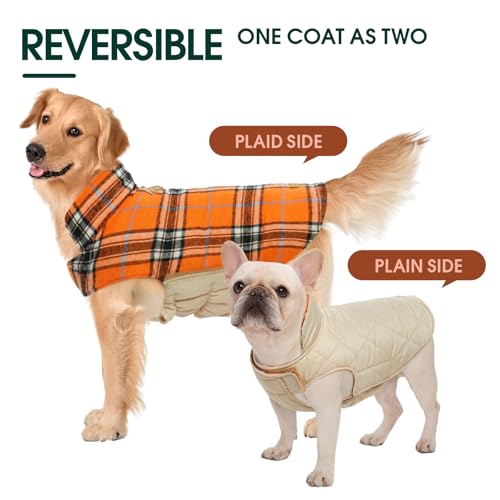 Waterproof Dog Coat (Orange / 2X-Large (Pack of 1))