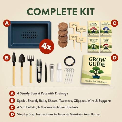 4 Bonsai Tree Starter Kit