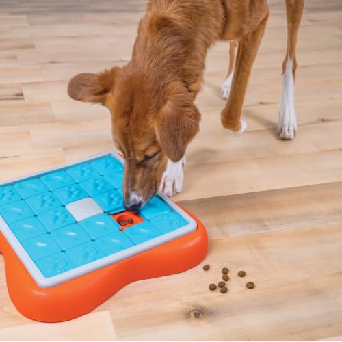 Nina Ottosson Challenge Slider Dog Toy Treat Puzzle