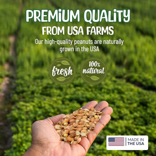 Raw Out of Shell Peanuts (3 Pound (Pack of 1))