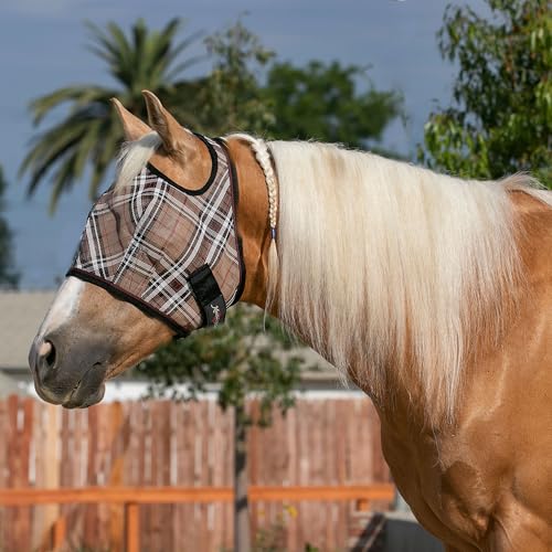 Kensington Fly Mask Web Trim (M (Small Horse))